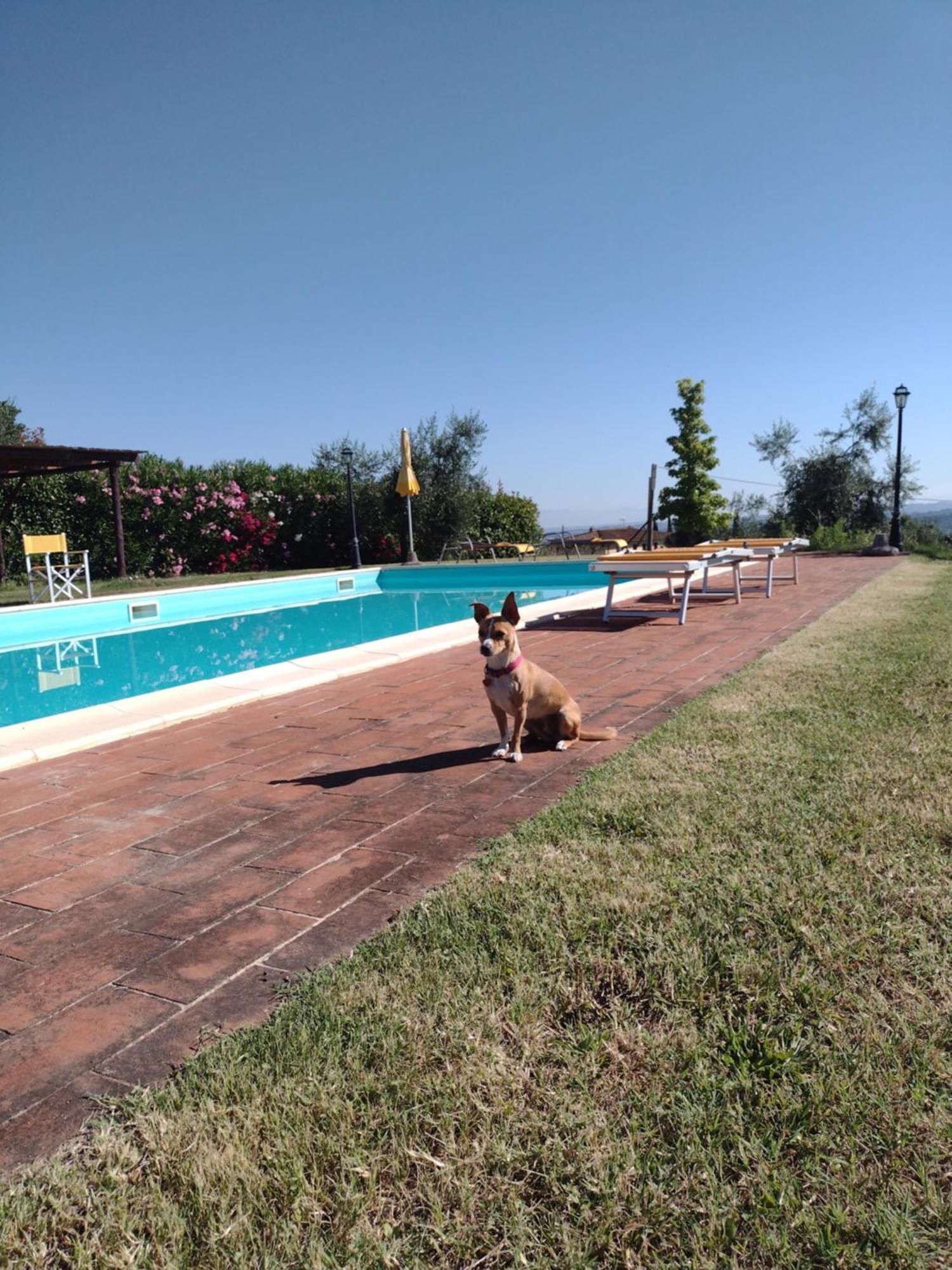 Le Pergoline B&B Casciana Terme Exterior photo